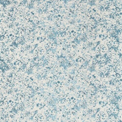 Aconite Frost-Sky