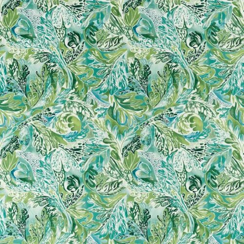 Alotau Fig Leaf-Tree Canopy