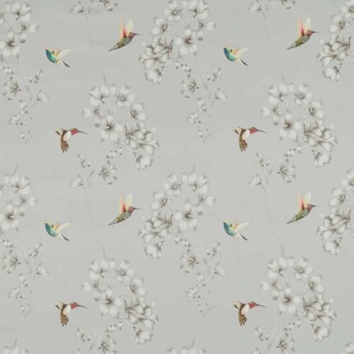 Amazilia French Grey