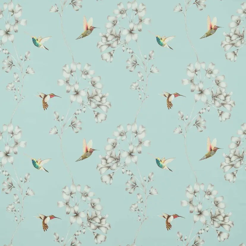 Amazilia Sky - Image 2