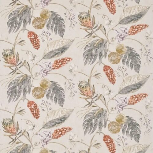 Amborella Willow-Russet