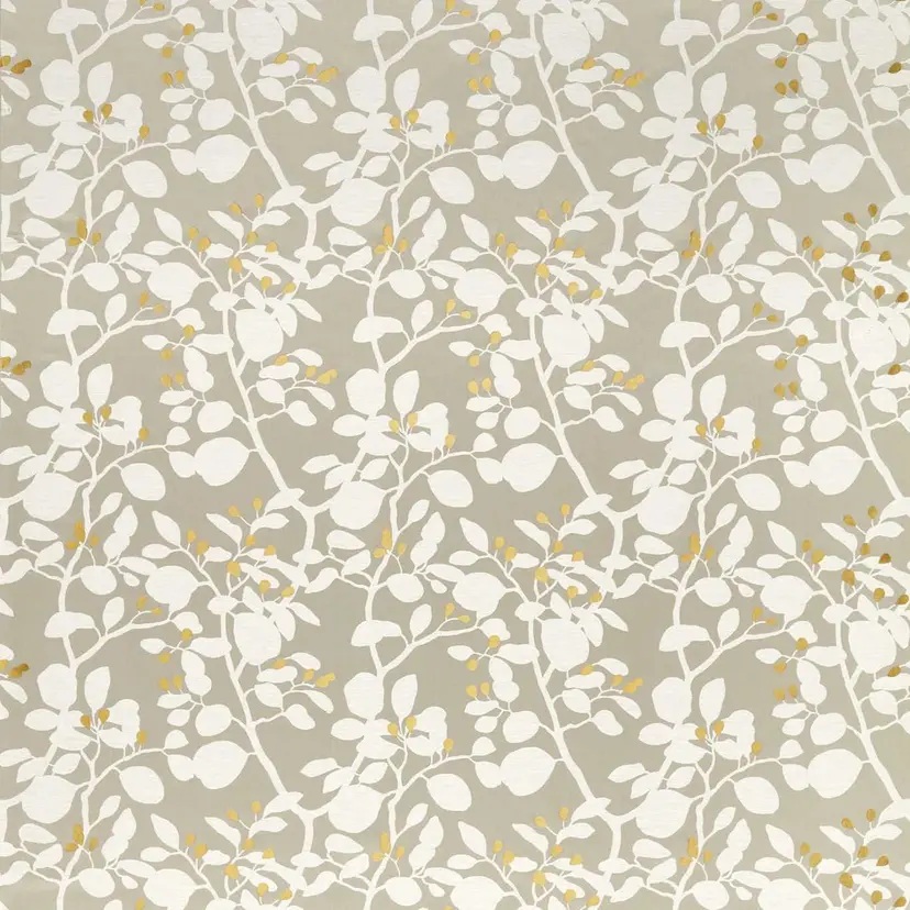 Ardisia Diffused Light - Image 2