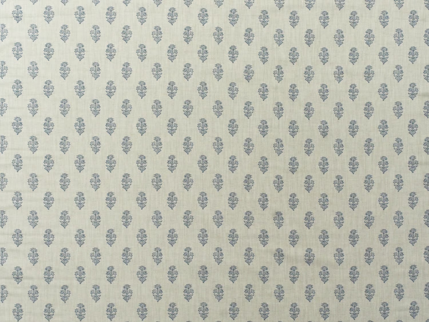 Buttercup Denim