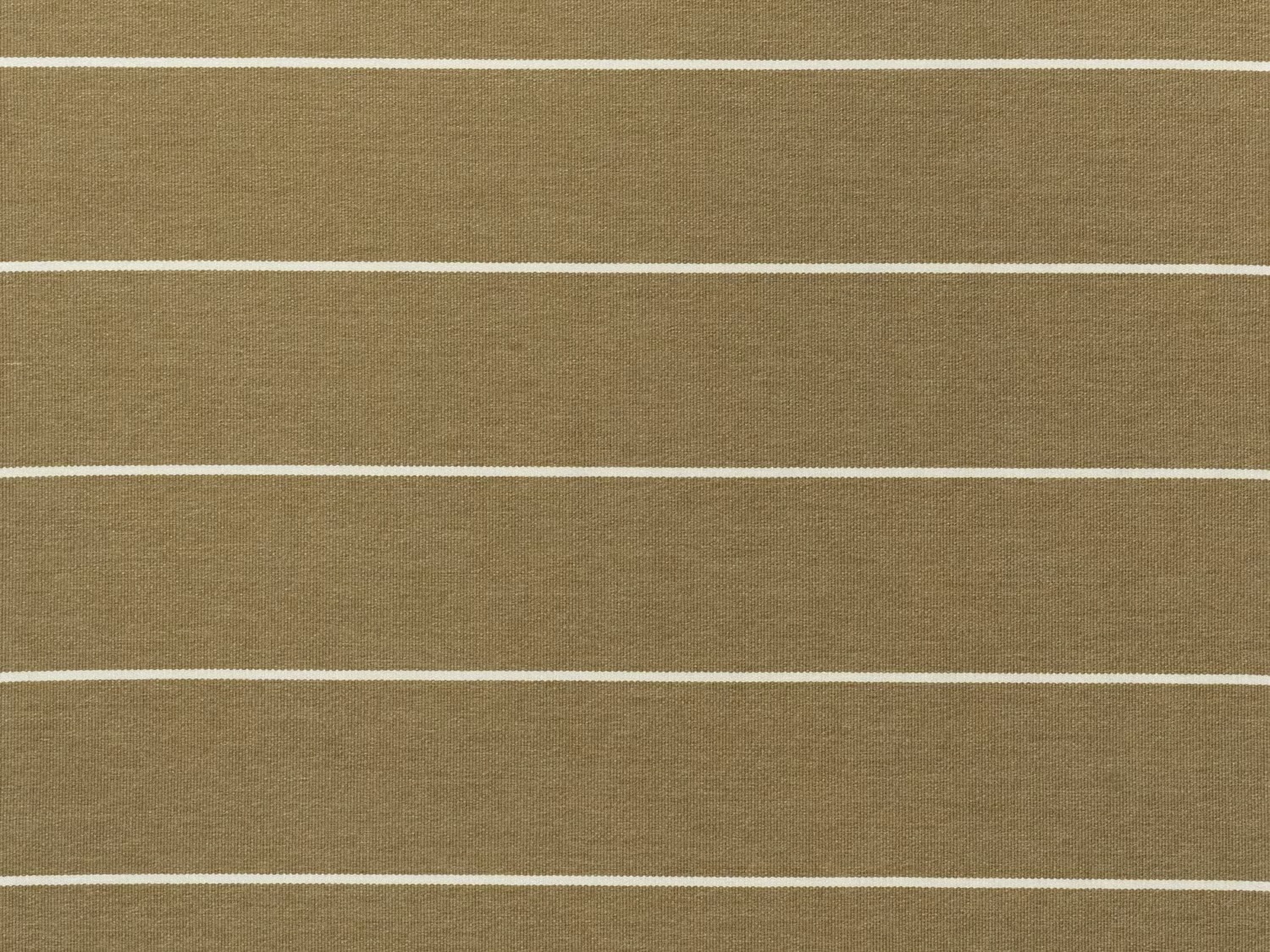 Desert Stripe Ivory