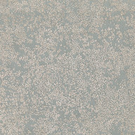 Nyiri Wallcovering Silver Blue